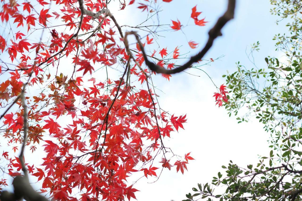 Ryokan Tanoya Kyoto Exterior foto